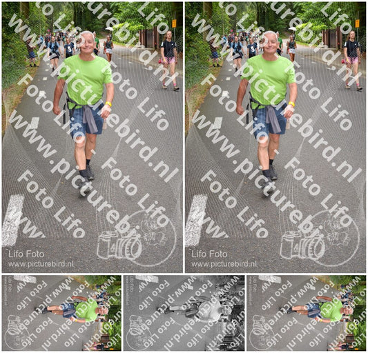 Evenement foto: Nijmeegse Vierdaagse 950