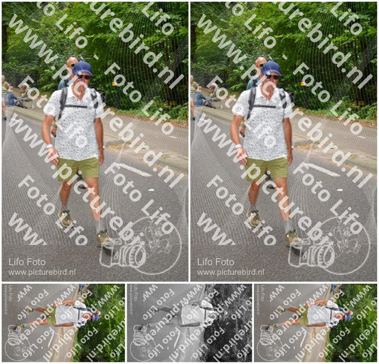 Evenement foto: Nijmeegse Vierdaagse 950