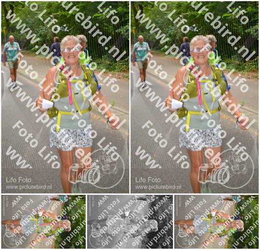 Evenement foto: Nijmeegse Vierdaagse 950