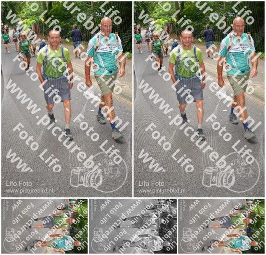 Evenement foto: Nijmeegse Vierdaagse 950