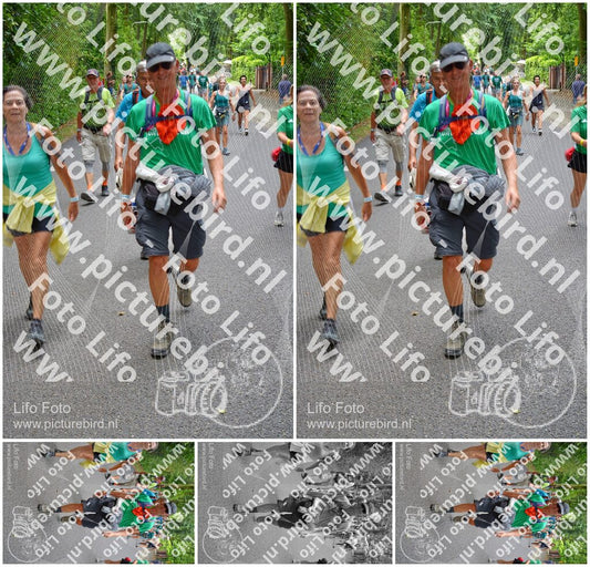 Evenement foto: Nijmeegse Vierdaagse 950