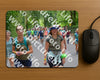 Evenement foto: Nijmeegse Vierdaagse 950