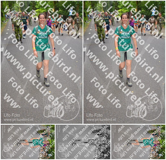 Evenement foto: Nijmeegse Vierdaagse 950