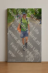 Evenement foto: Nijmeegse Vierdaagse 950