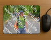 Evenement foto: Nijmeegse Vierdaagse 950