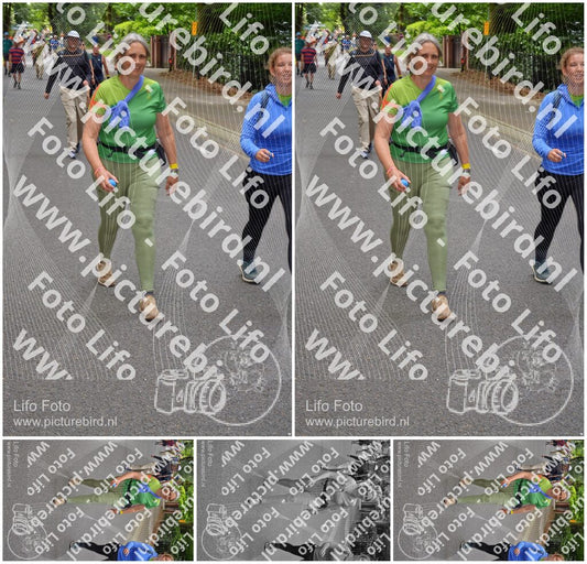 Evenement foto: Nijmeegse Vierdaagse 949