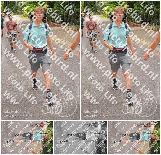 Evenement foto: Nijmeegse Vierdaagse 949