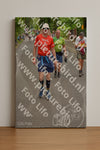 Evenement foto: Nijmeegse Vierdaagse 949