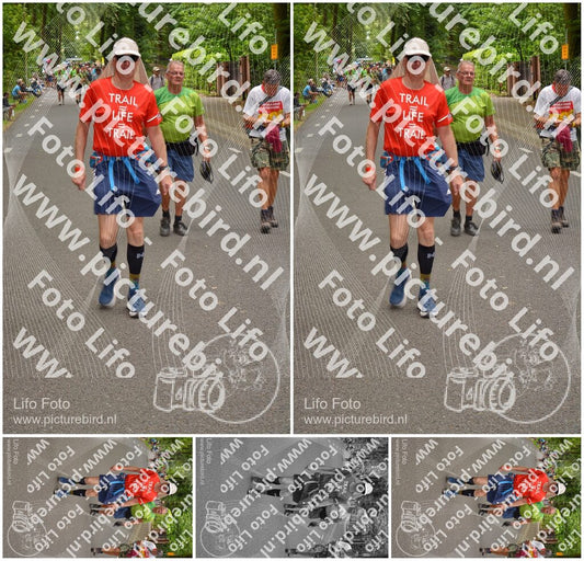 Evenement foto: Nijmeegse Vierdaagse 949