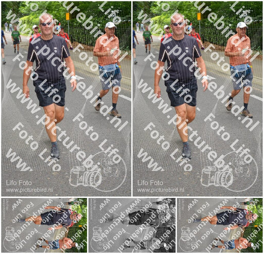 Evenement foto: Nijmeegse Vierdaagse 949