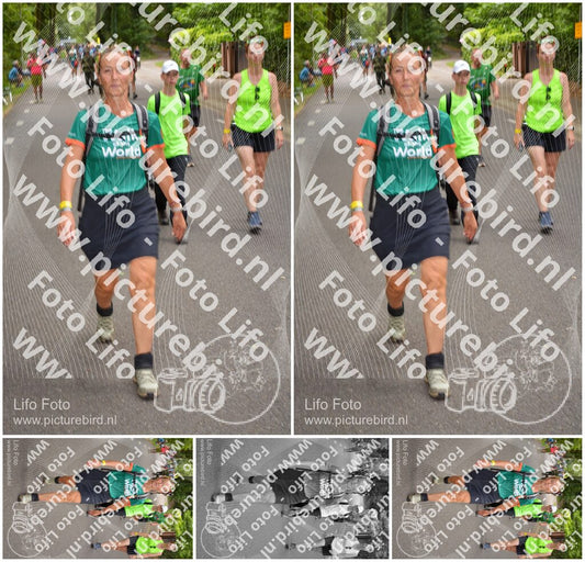 Evenement foto: Nijmeegse Vierdaagse 949