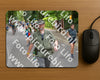 Evenement foto: Nijmeegse Vierdaagse 949