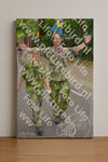 Evenement foto: Nijmeegse Vierdaagse 949