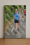 Evenement foto: Nijmeegse Vierdaagse 949