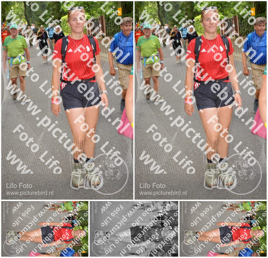 Evenement foto: Nijmeegse Vierdaagse 949