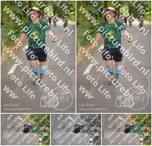 Evenement foto: Nijmeegse Vierdaagse 949