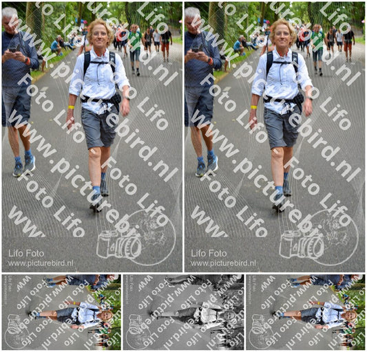 Evenement foto: Nijmeegse Vierdaagse 949