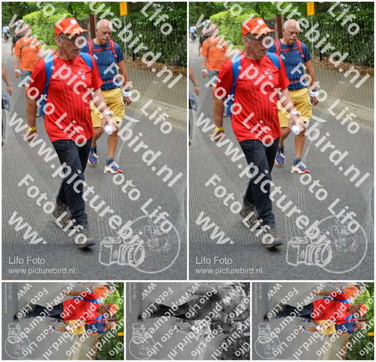 Evenement foto: Nijmeegse Vierdaagse 949
