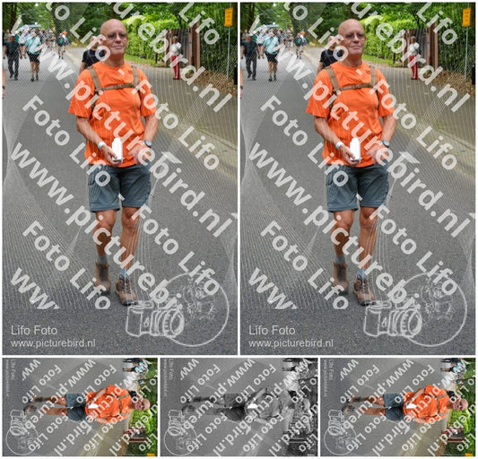 Evenement foto: Nijmeegse Vierdaagse 949