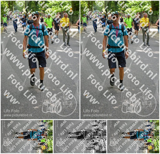 Evenement foto: Nijmeegse Vierdaagse 949