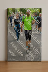 Evenement foto: Nijmeegse Vierdaagse 949