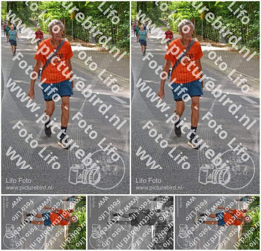 Evenement foto: Nijmeegse Vierdaagse 949