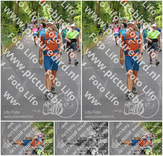 Evenement foto: Nijmeegse Vierdaagse 949