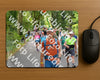 Evenement foto: Nijmeegse Vierdaagse 949