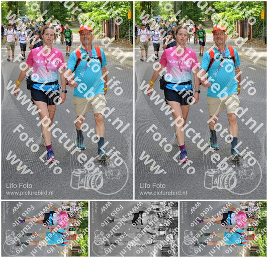 Evenement foto: Nijmeegse Vierdaagse 949