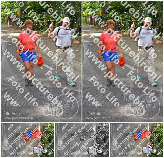 Evenement foto: Nijmeegse Vierdaagse 949