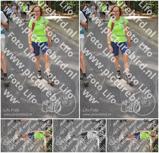 Evenement foto: Nijmeegse Vierdaagse 949