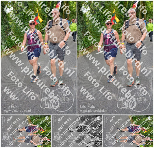Evenement foto: Nijmeegse Vierdaagse 949