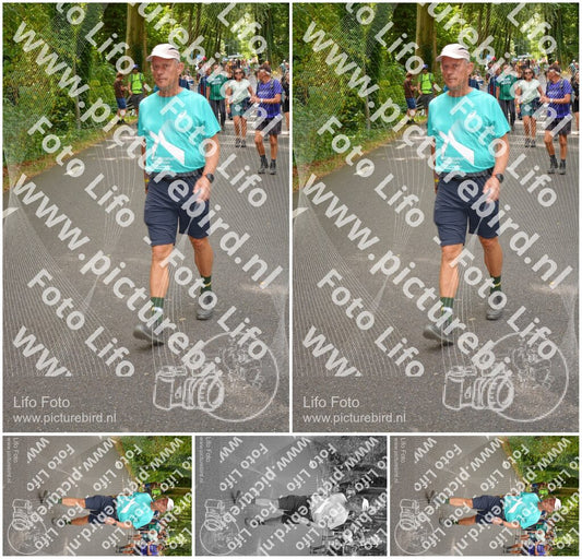 Evenement foto: Nijmeegse Vierdaagse 949