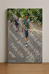 Evenement foto: Nijmeegse Vierdaagse 948