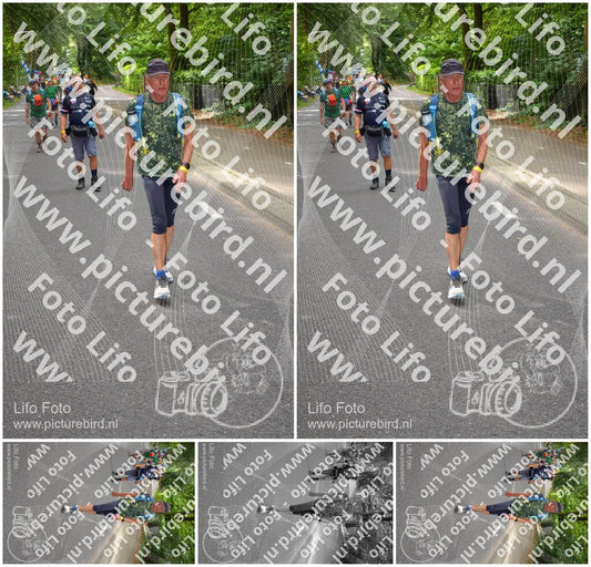 Evenement foto: Nijmeegse Vierdaagse 948