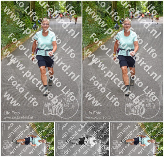 Evenement foto: Nijmeegse Vierdaagse 948