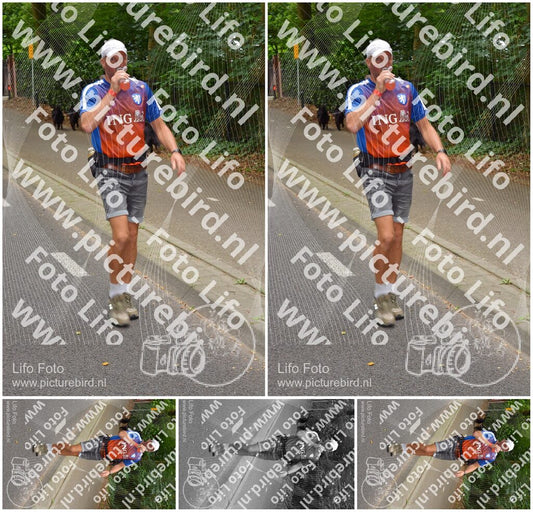 Evenement foto: Nijmeegse Vierdaagse 948