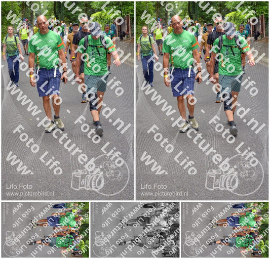 Evenement foto: Nijmeegse Vierdaagse 948