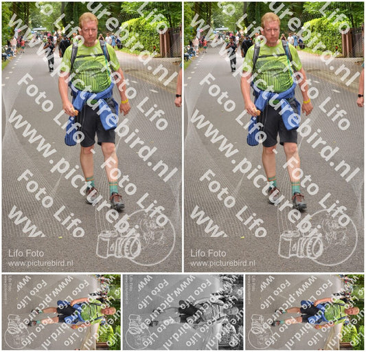 Evenement foto: Nijmeegse Vierdaagse 948