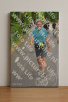 Evenement foto: Nijmeegse Vierdaagse 948
