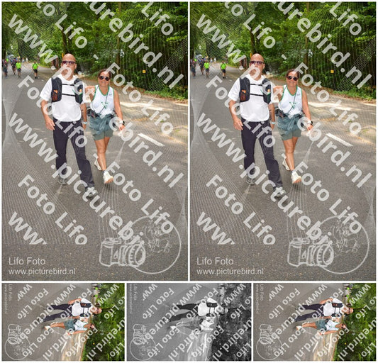Evenement foto: Nijmeegse Vierdaagse 948