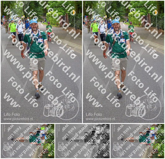 Evenement foto: Nijmeegse Vierdaagse 948