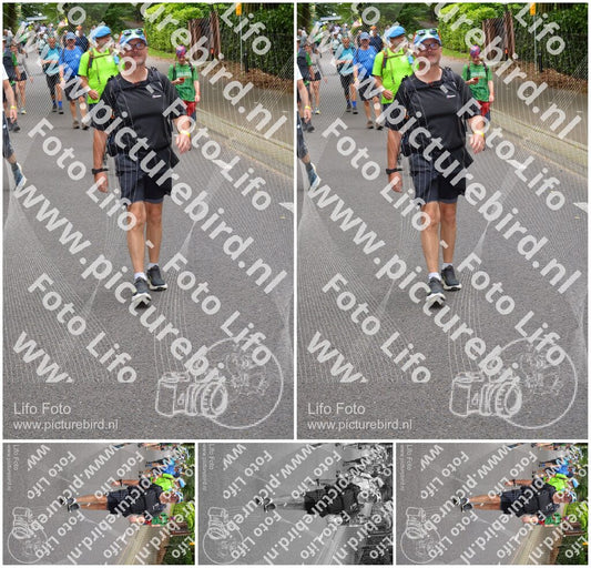 Evenement foto: Nijmeegse Vierdaagse 948