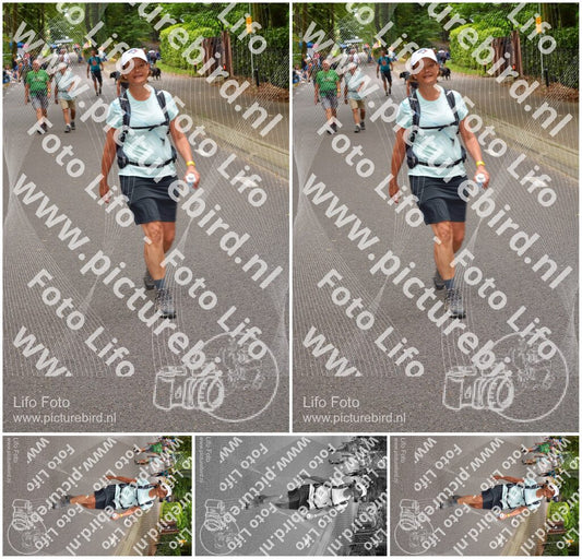 Evenement foto: Nijmeegse Vierdaagse 948