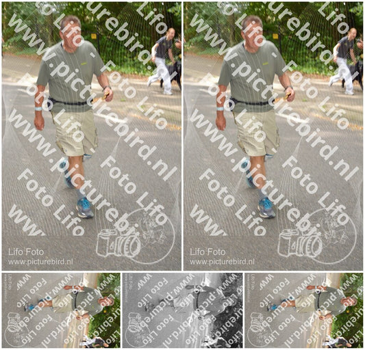 Evenement foto: Nijmeegse Vierdaagse 948