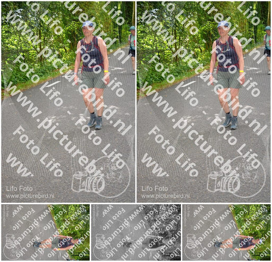 Evenement foto: Nijmeegse Vierdaagse 948