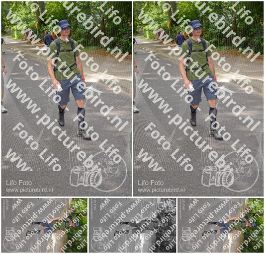 Evenement foto: Nijmeegse Vierdaagse 948