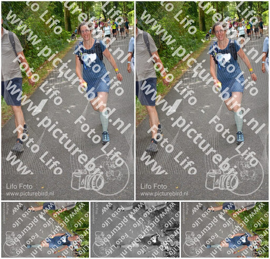 Evenement foto: Nijmeegse Vierdaagse 948