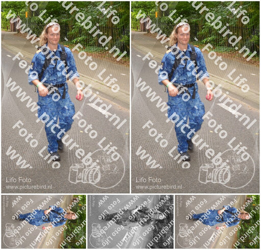 Evenement foto: Nijmeegse Vierdaagse 948