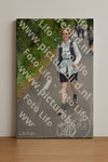 Evenement foto: Nijmeegse Vierdaagse 948